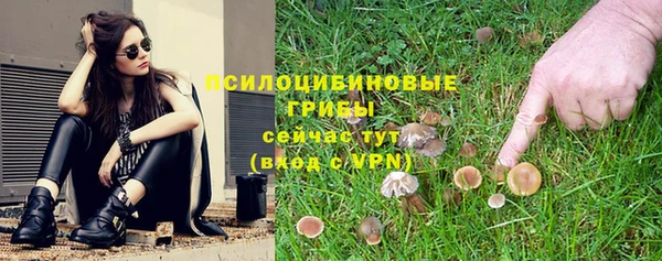 СК Алексин