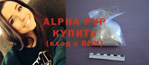 СК Алексин