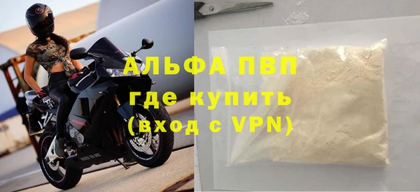 СК Алексин