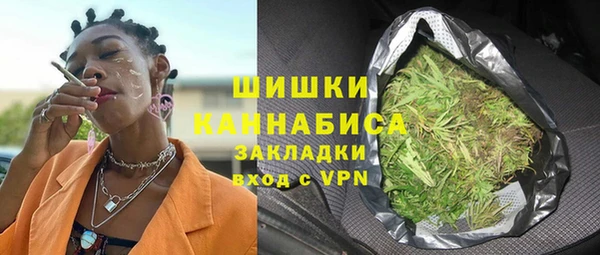гашик Алексеевка