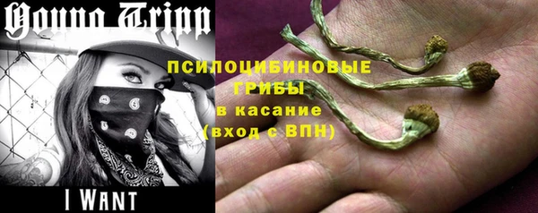 СК Алексин