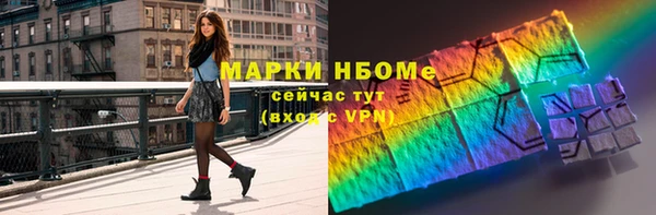 СК Алексин