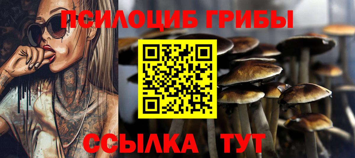Псилоцибиновые грибы Magic Shrooms Красноуфимск