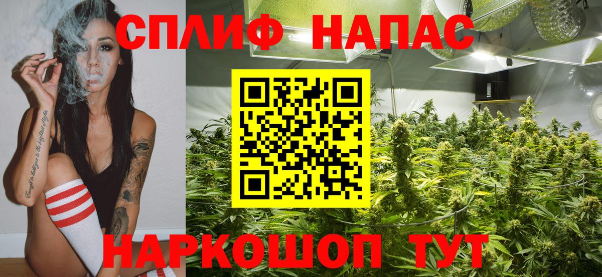 Красноуфимск  Каннабис планчик  Каннабис семена  Бошки Шишки марихуана  Канабис OG Kush  Вход с VPN 